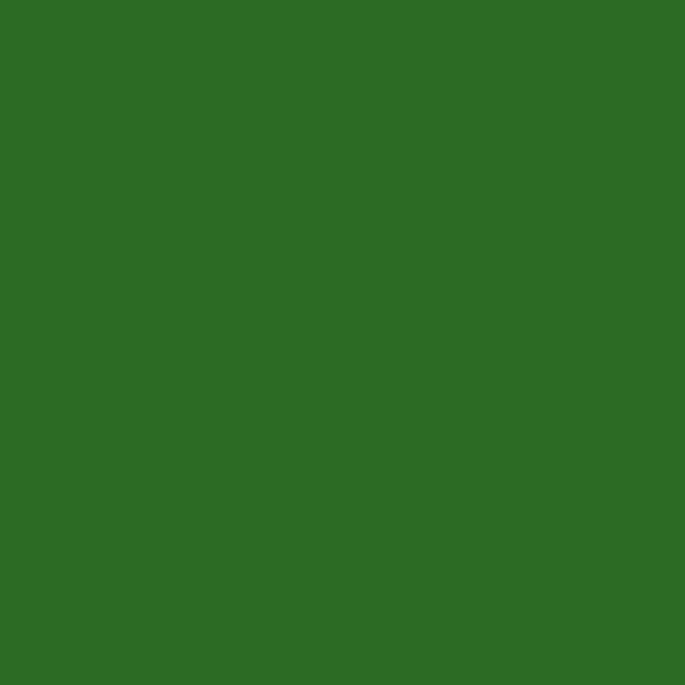Armeegrün, matt, 17 ml - 770850